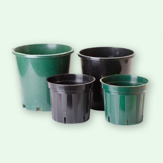 shrub pots plastic